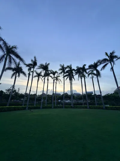 此刻绿洲